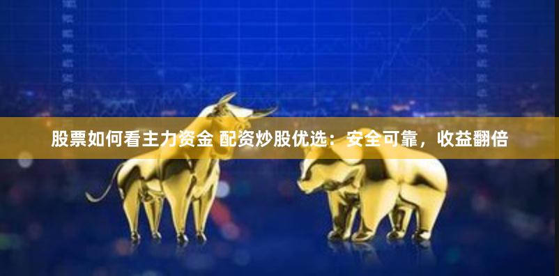 股票如何看主力资金 配资炒股优选：安全可靠，收益翻倍