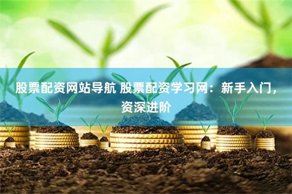 股票配资网站导航 股票配资学习网：新手入门，资深进阶
